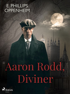 E-kniha Aaron Rodd, Diviner