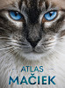 Atlas mačiek