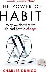 The Power of Habit : Why We Do What We Do, and How to Change
