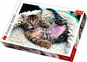 Veselé kotě: Puzzle 1000 dílků