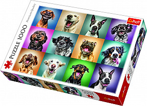 Veselé psí portréty: Puzzle 1000 dílků