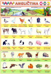 Obrázková angličtina 1 zvířata