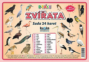 Sada 24 karet Ptáci