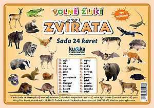 Volně žijící zvířata  - Sada 24 karet