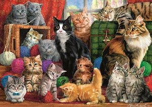 Trefl Puzzle Kočičí setkání / 1000 dílků