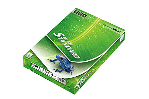 Kancelářský papír A4 - Standard 80 g (500 archů)