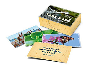 Tady a teď/Život je zlatá příležitost - karty