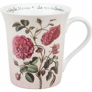 Hrnek - Merian - Růže
