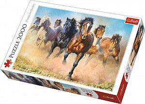 Puzzle: Cválající koně 2000 dílků