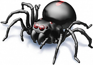 Pavouk na slanou vodu