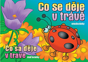 Omalovánky - Co se děje v trávě