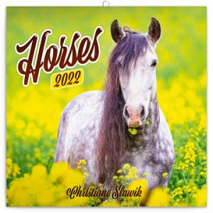 Kalendář 2022 poznámkový: Koně – Christiane Slawik, 30 × 30 cm