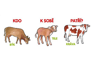 Kdo k sobě patří?
