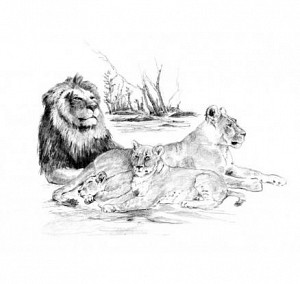 Royal Langnickel Malování skicovacími tužkami 39 x 28,5 cm/mix 4 motivů