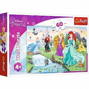 Puzzle: Disney Princess - Seznamte se s princeznami / 60 dílků