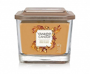 YANKEE CANDLE Amber & Acorn svíčka 347g / 3knoty