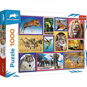 Puzzle Animal Planet: Divoká příroda/1000 dílků