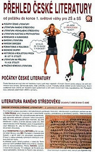 Přehled české literatury