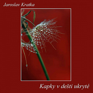 Kapky v dešti ukryté