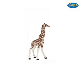 Žirafa mládě