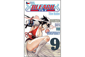 Bleach 9