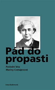 Pád do propasti