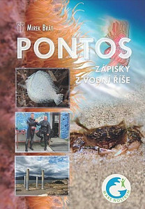 Pontos