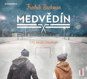 Medvědín