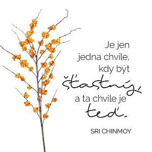 Korkový podtácek Je jen jedna chvíle