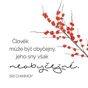 Korkový podtácek Člověk může být