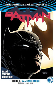 Batman Já jsem Gotham