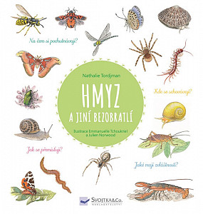 Hmyz a jiní bezobratlí