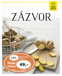 Zázvor