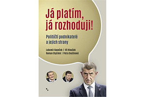 Já platím, já rozhoduji! - Političtí podnikatelé a jejich strany
