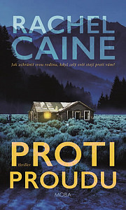 Proti proudu
