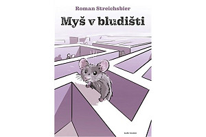 Myš v bludišti