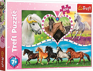 Puzzle Krásní koně