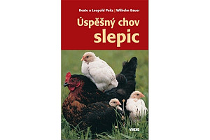 Úspěšný chov slepic