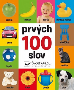 Prvých 100 slov