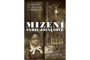 Mizení Sybil Joinesové