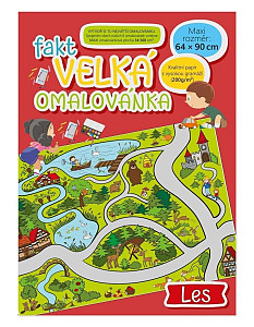 Fakt velká omalovánka Les