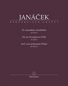 Po zarostlém chodníčku