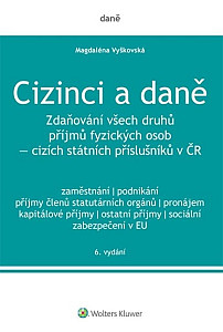 Cizinci a daně
