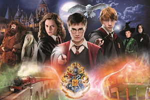 Tajemný Harry Potter 300 dílků