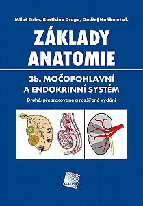 Základy anatomie 3b.