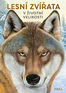 Lesní zvířata v životní velikosti