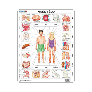 Puzzle 35 Naše tělo deskové