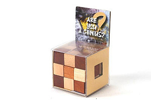 Recenttoys Hlavolam Are you a Genius?