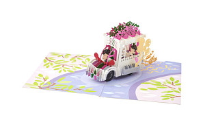 3D přání Svatební automobil