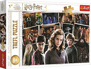 Puzzle Harry Potter s přáteli